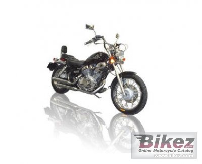 2009 Diamo Cruiser V-Twin 250 photo